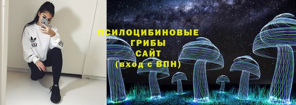 эйфоретик Краснослободск