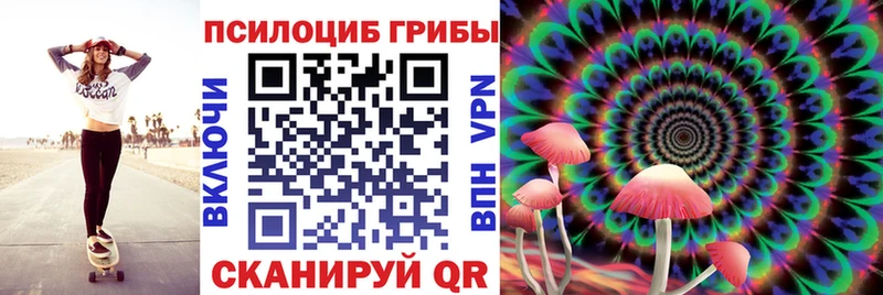 Купить где  Петрозаводск  Галлюциногенные грибы Psilocybine cubensis 